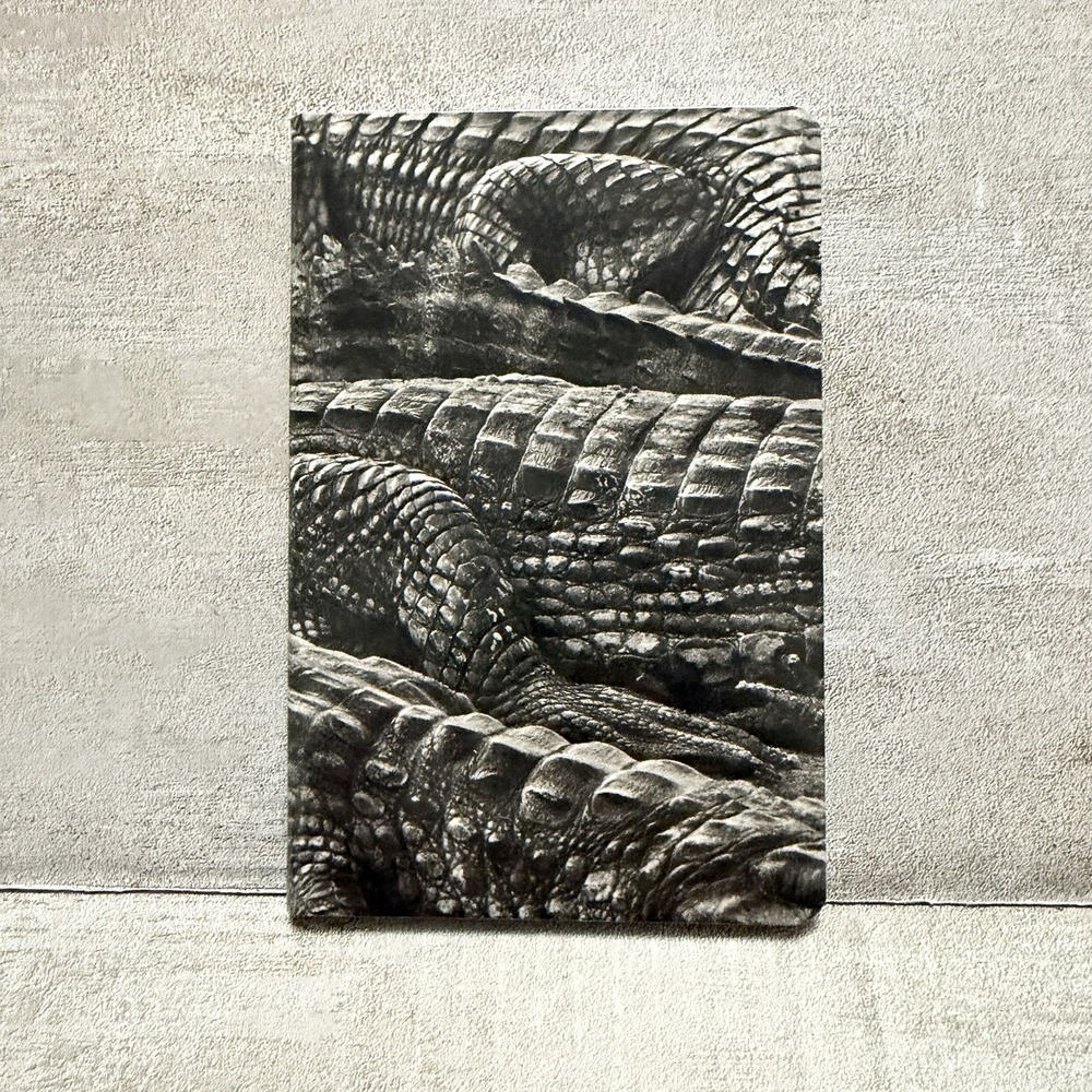 Sebastiao Salgado GENESIS Taschen Art Photography Notebook Journal‎ Alligator